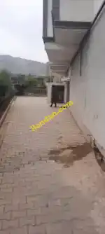 Cumhuriyet mahallesi Kurtalan kiralık daire 