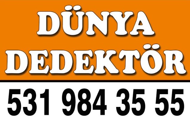 Dünya Dedektör