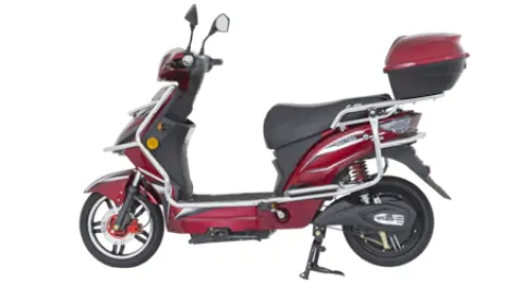 Hangi Elektrikli Motosiklet, Bisiklet için Ehliyet ve Ruhsat Gerekmiyor? 2024