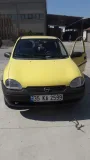 Sağlam güçlü  sehır ıcı faresı