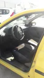 Sağlam güçlü  sehır ıcı faresı