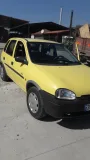 Sağlam güçlü  sehır ıcı faresı
