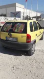 Sağlam güçlü  sehır ıcı faresı