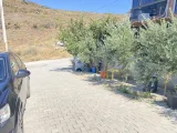 Seferihisar Payamlı'da, Isı Pompalı, Masrafsız Müstakil Köşe Satılık 3+1 Villa