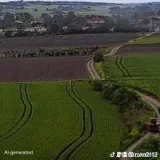 ACİL İHTİYAÇTAN SATILIK TARLA